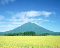 林志玲北海道挥杆开球，简约装扮尽显元气女神范