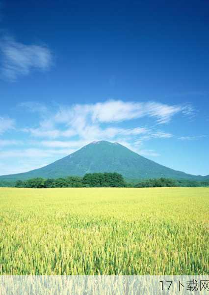 在这个金秋送爽的季节，北海道不仅以其绝美的自然风光吸引着全世界的目光，更因一场别开生面的高尔夫赛事，迎来了一位特别的嘉宾——林志玲，这位集美貌与智慧于一身的女神，以一袭简约而不失时尚感的白T搭配牛仔裤亮相北海道高尔夫球场，瞬间成为全场焦点，元气满满的状态让人不禁赞叹，岁月似乎对她格外温柔。