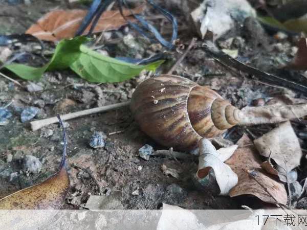 Q: 雨后的大蜗牛真的那么危险吗？为什么有些人吃了却没事？