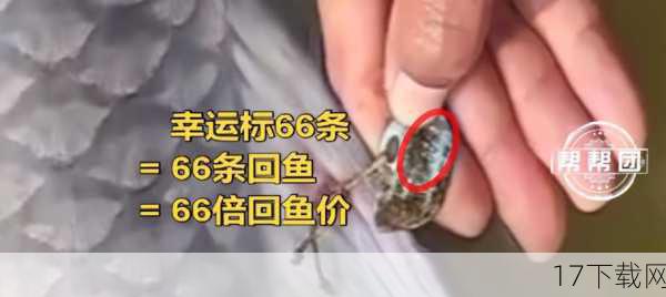 问题二：有没有什么技巧可以提高在“暗黑回鱼”活动中获得稀有奖励的几率？