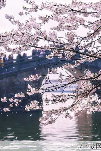  9.樱花雨落