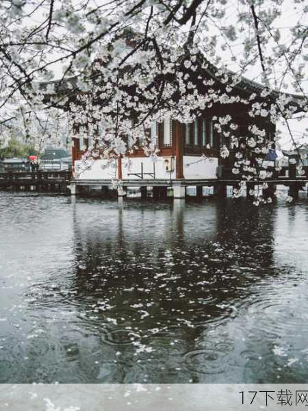 樱花雨落，这个名字充满了诗意与浪漫，他就像是一场突如其来的樱花雨，美丽而短暂，却足以让人沉醉其中，樱花雨落的每一次出现都如同樱花雨落般绚烂多彩，让人目不暇接。