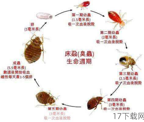 让我们来揭开床虱的神秘面纱，床虱，学名臭虫，是一种寄生性昆虫，以人类和动物的血液为食，它们的体型虽小，仅有1-7毫米长，但吸血能力却异常强大，据研究，床虱每次吸血的时间可长达3至10分钟，吸食的血量竟是蚊子的7倍之多，这意味着，在你不经意间，这些“吸血鬼”可能已经悄悄吸走了你大量的血液，留下红肿、瘙痒的伤口，让人苦不堪言。