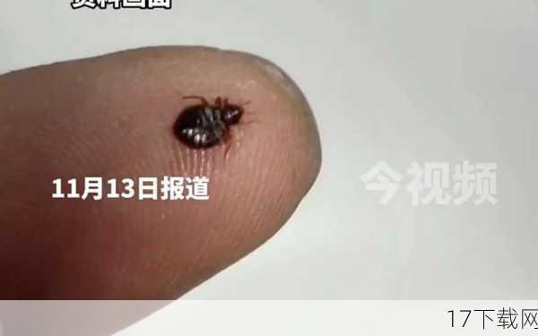 答：床虱之所以能够吸食如此大量的血液，主要是因为它们的口器结构特殊且吸血时间长，床虱的口器尖锐且锋利，能够轻松刺穿人类皮肤并深入血管，它们的吸血时间可长达3至10分钟之久，这使得它们有足够的时间吸取大量的血液，相比之下，蚊子的吸血时间较短且口器较小，因此吸血量相对较少。