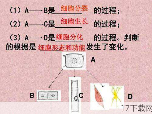 《细胞分裂3:混沌理论》作为《细胞分裂》系列的第三部作品，自问世以来便以其独特的潜行玩法、紧张刺激的剧情以及高度自由的策略选择赢得了广泛好评，游戏中，玩家将扮演特工山姆·费舍尔，穿梭于世界各地的秘密地点，执行一系列高风险任务，从繁华的都市街头到戒备森严的军事基地，每一个场景都考验着玩家的耐心、智慧和反应速度。