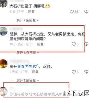 粉丝的共鸣与理解