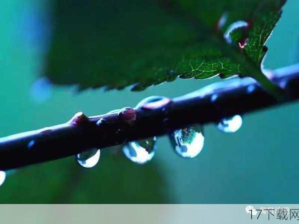 察觉到小雨情绪的变化后，小雨的父母没有简单地责备或忽视，而是选择了理解和引导，他们告诉小雨，每个人的外表都是独一无二的，就像世界上没有两片完全相同的叶子一样，爱因斯坦之所以伟大，不仅仅因为他的智慧，更因为他敢于做自己，不在乎别人的眼光，他们鼓励小雨要像爱因斯坦一样，勇敢地拥抱自己的不同，用知识和才华去证明自己的价值。