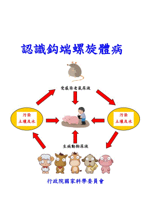 钩端螺旋体病的预防与治疗