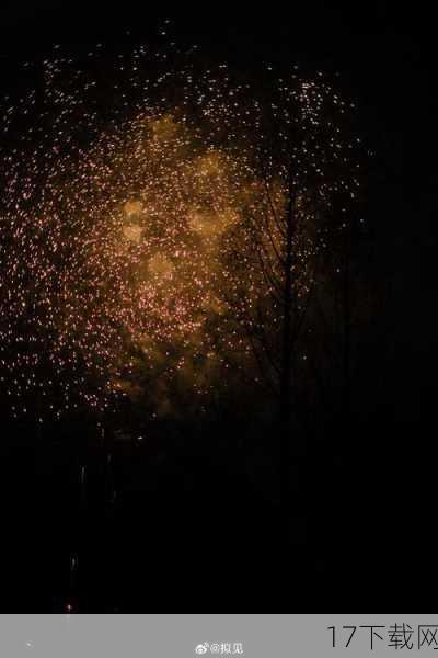 如果说灯火是家的呼唤，那么烟火则是新年的祝福，在除夕夜，无论是城市的高楼大厦，还是乡村的田野山间，都能看到五彩斑斓的烟火在空中绽放，它们或如流星划过天际，或如菊花盛开在夜空，每一次绽放都伴随着人们的欢呼与惊叹。